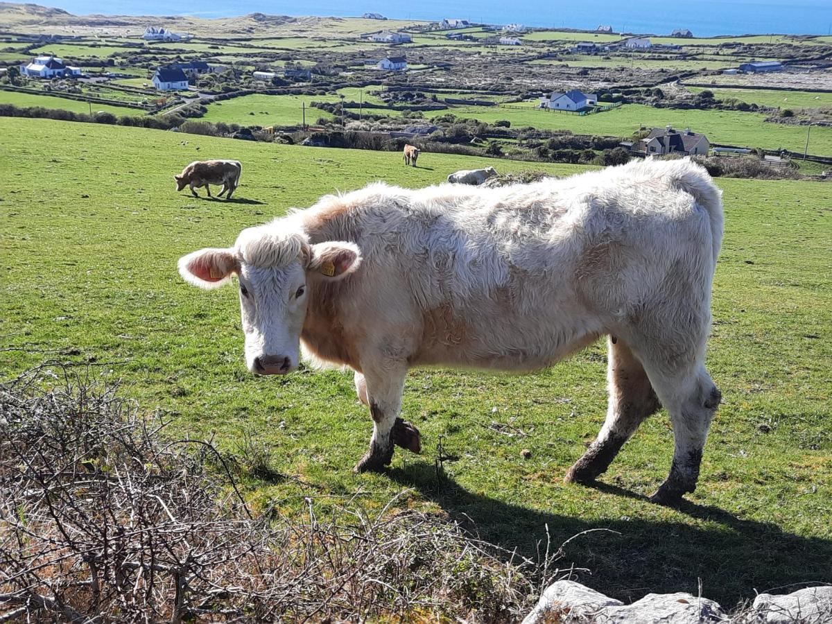 Island View Bed And Breakfast Doolin Esterno foto