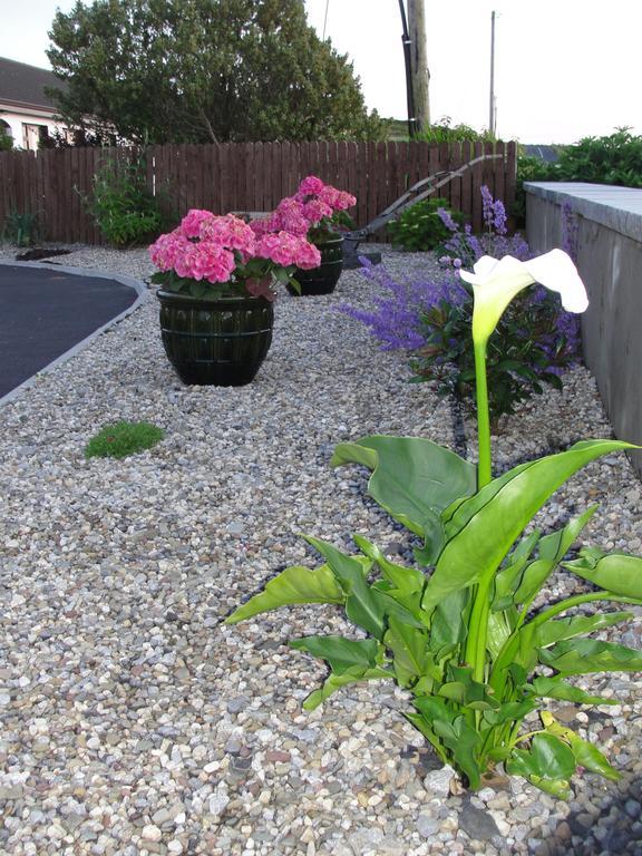 Island View Bed And Breakfast Doolin Esterno foto